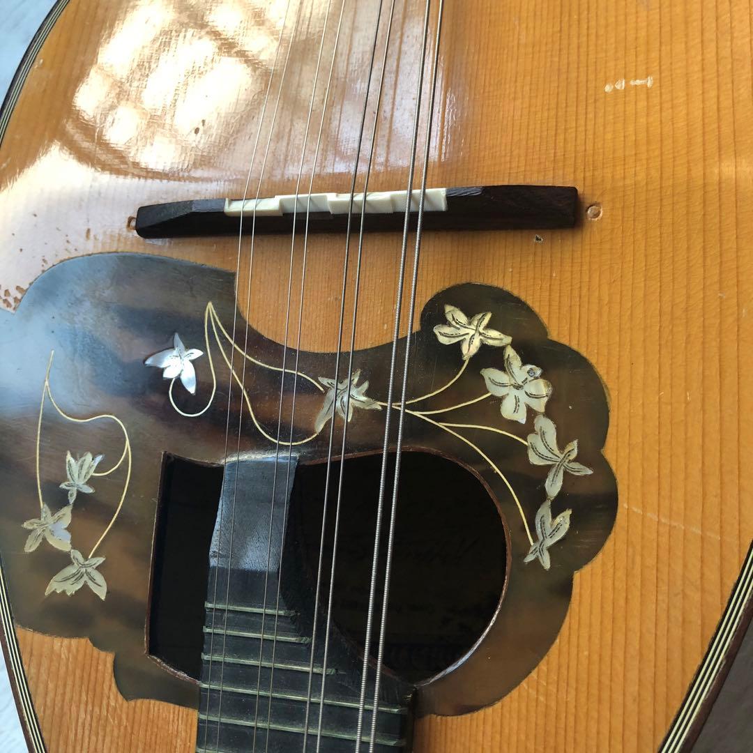 ラファエレカラーチェマンドリン　Type13