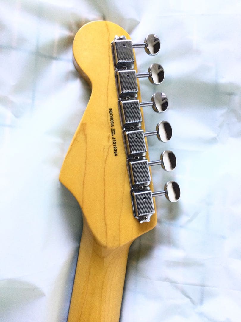 ESP GrassRoots/グラスルーツ