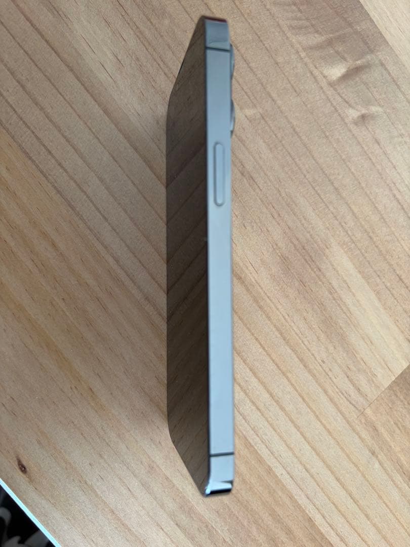 Apple iPhone 13 Pro グラファイト 本体　おまけあり