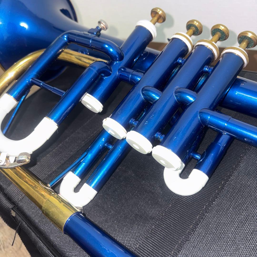 フリューゲルホルン　ブルー＆ゴールド