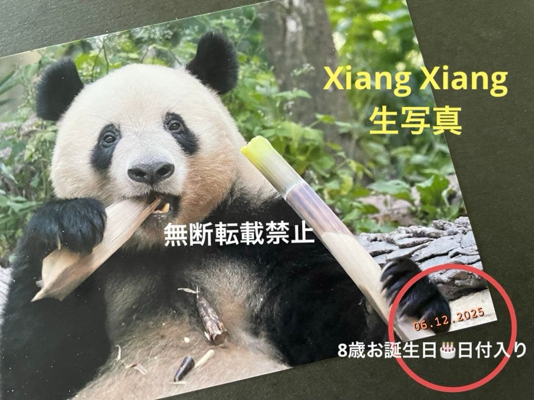 シャンシャン 8歳誕生日記念切手冊（中国切手）クリアカード付き＋香香誕生日生写真