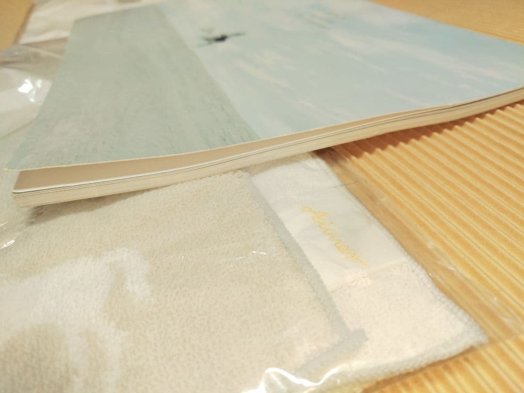 Aimer　like a daydream　限定　ツアーグッズ　エメ　2016