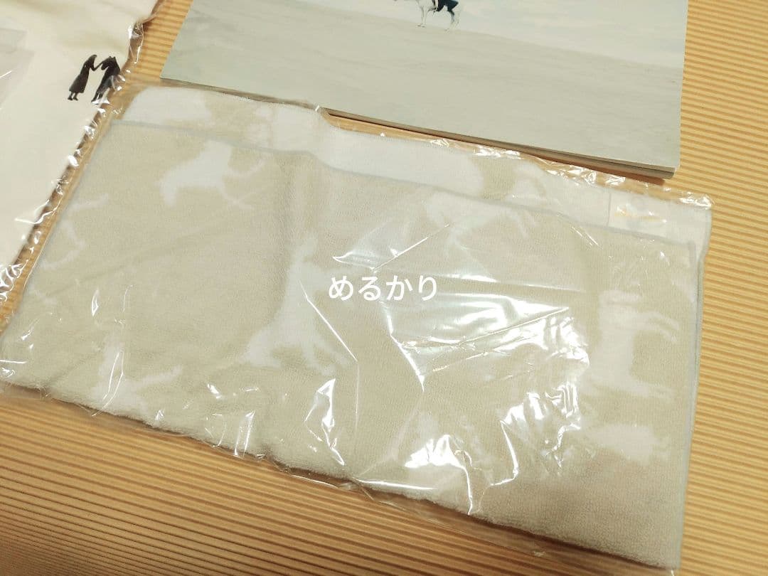 Aimer　like a daydream　限定　ツアーグッズ　エメ　2016