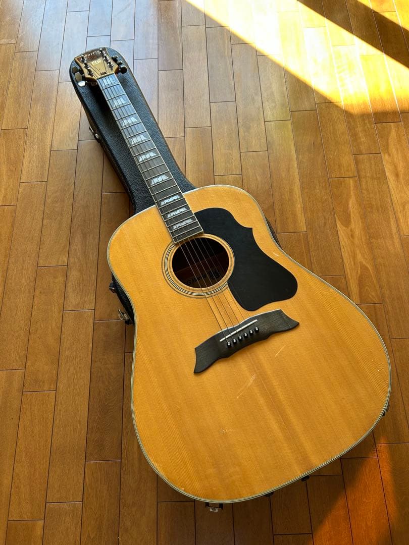 Morris MG-50 アコースティックギター