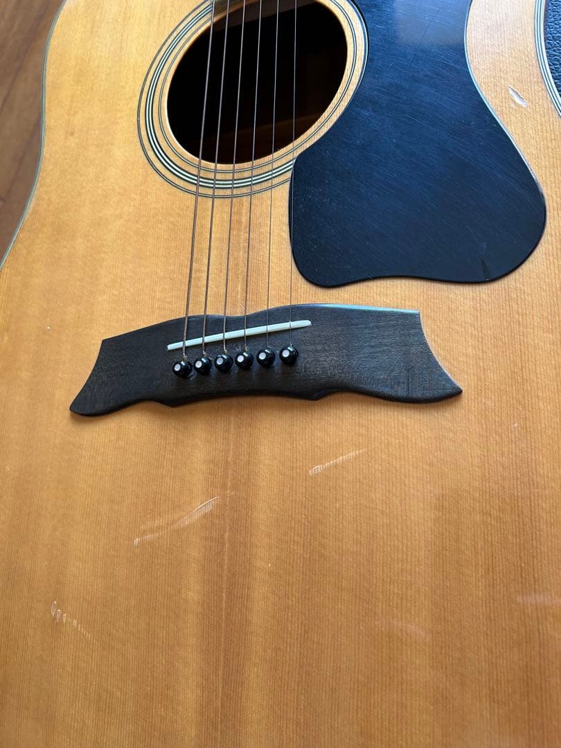 Morris MG-50 アコースティックギター