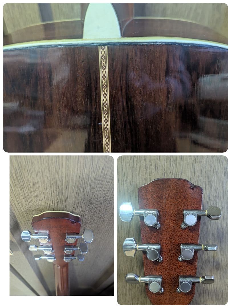 ♪訳あり！Morris　M-50F ハカランダ♪