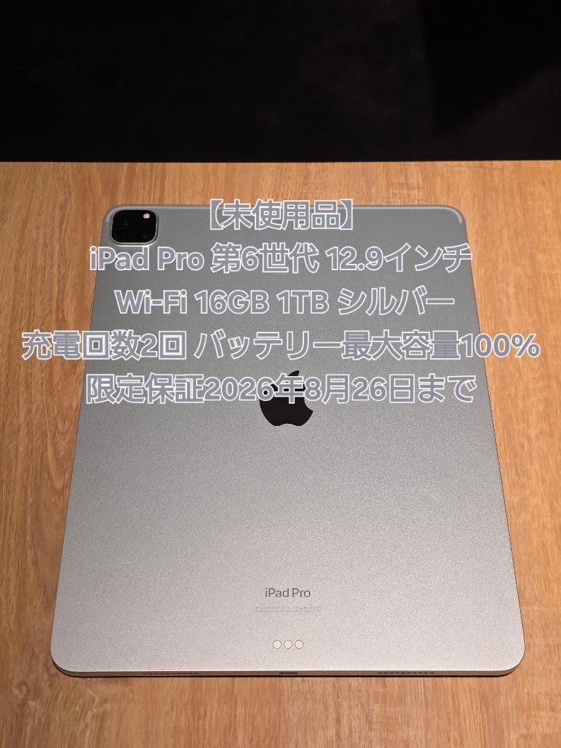 iPad Pro 第6世代 12.9 Wi-Fi 16GB 1TB 充電2回