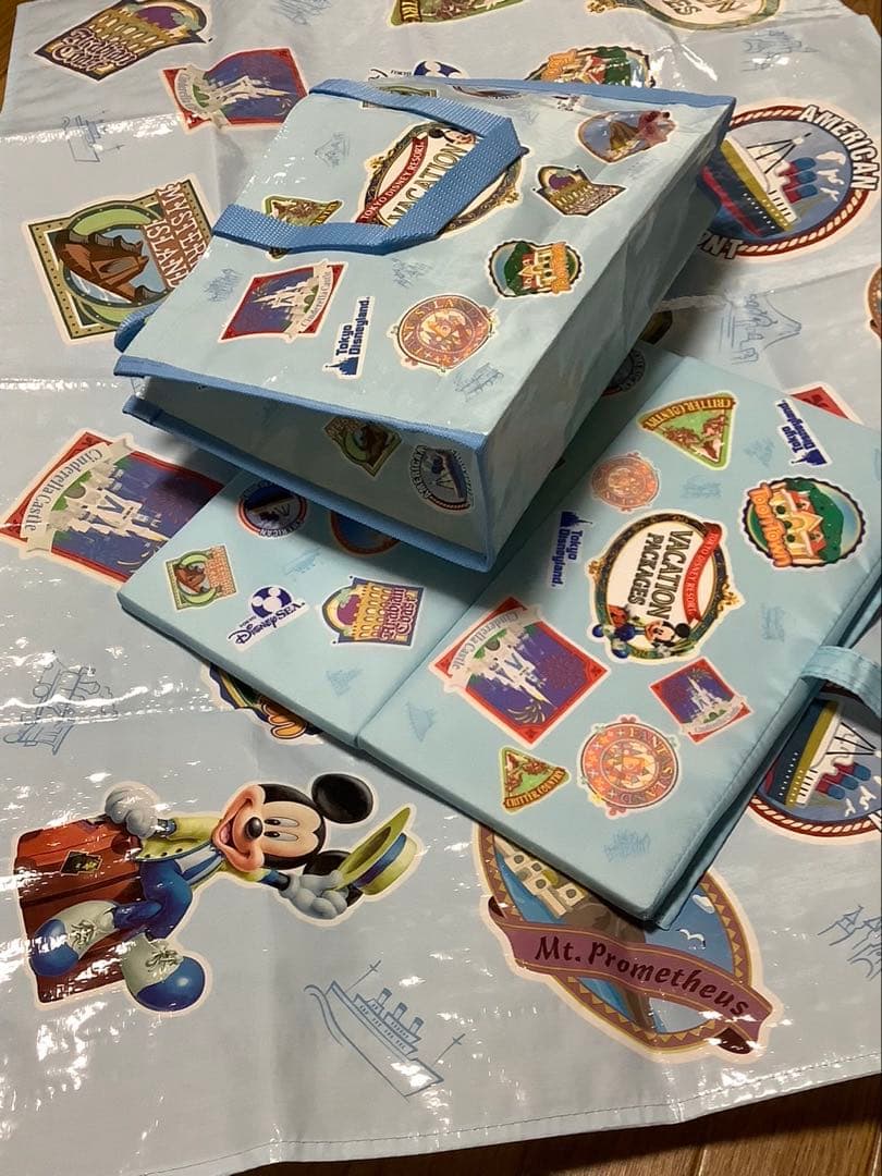 【確認画像】ディズニー　バケパクッション&レジャーシートセット