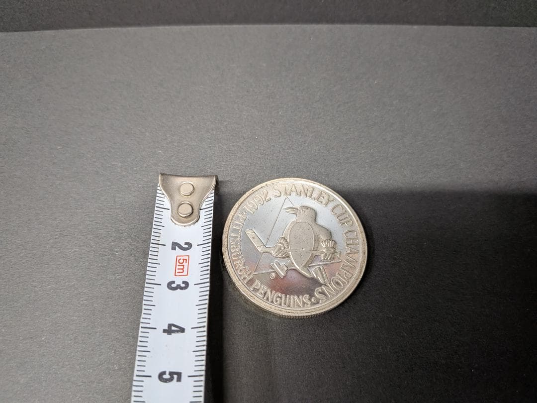 NFL ピッツバーグ・ペンギンズ 記念