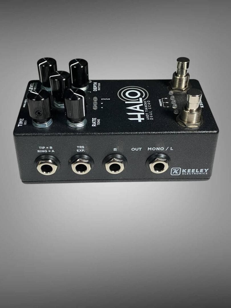 ※1点のみ Keeley HALO Dual Echo Delay