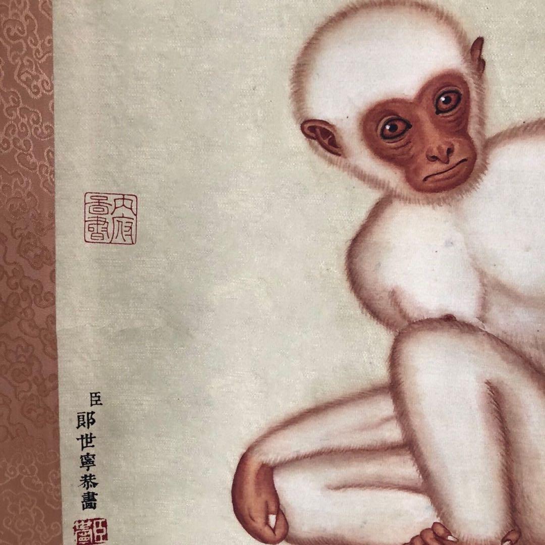 郎世宁 猿図 掛け軸｜三尺中堂｜十二生肖・申｜表装済み
