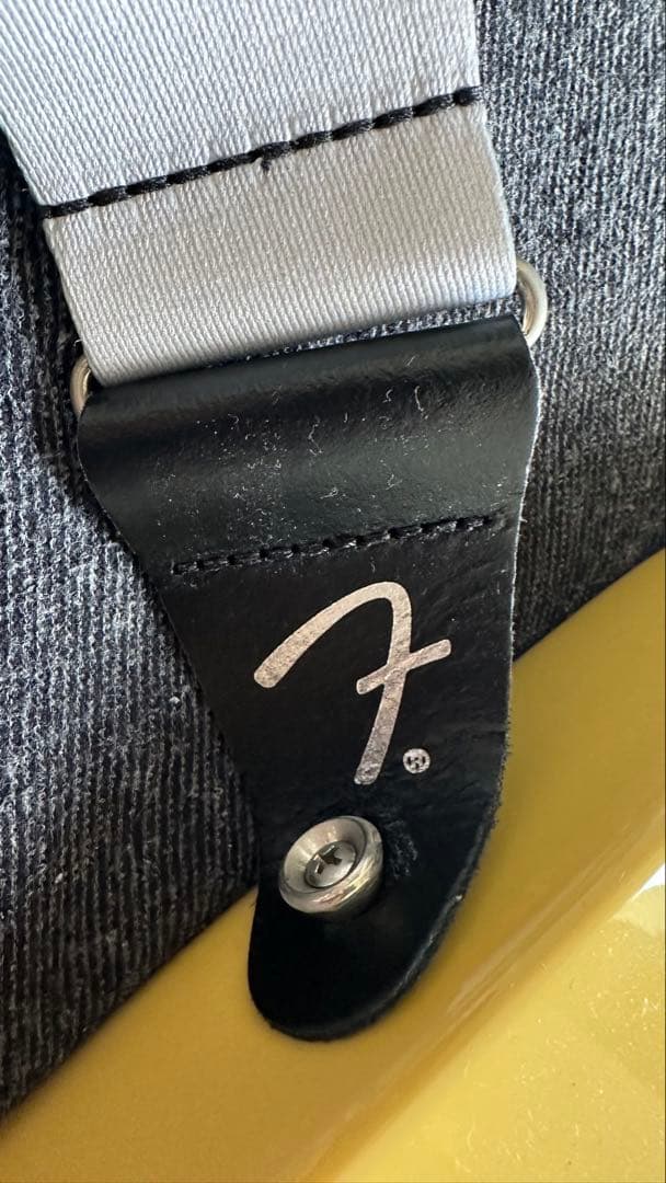 BACCHUS　エレキギター　テレキャスター　fender ストラップ付き