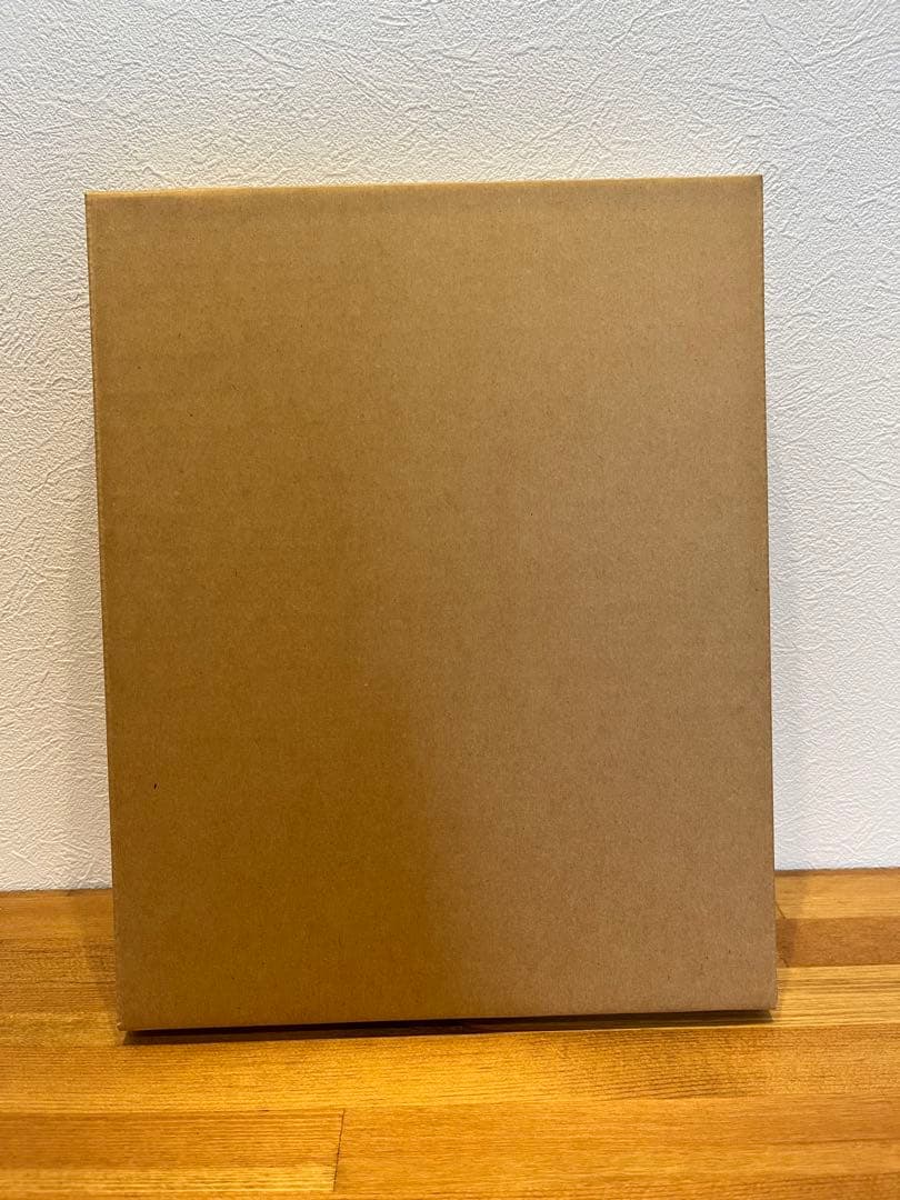 レア　ダンダダン セガラッキーくじ A賞 キャンバスグラフィック 描き下ろし