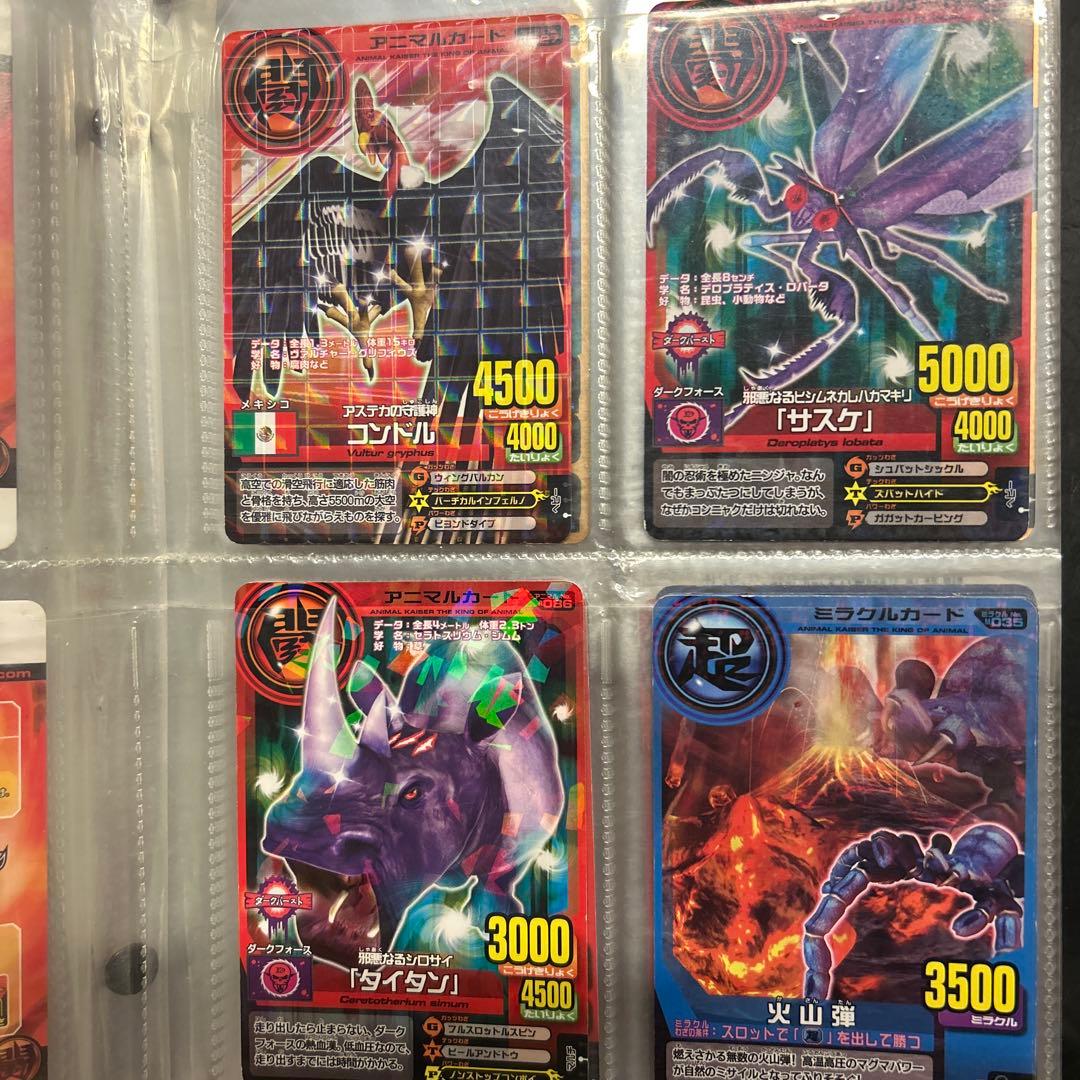 アニマルカイザー　カード　セット　104枚