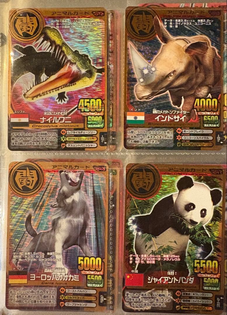 アニマルカイザー　カード　セット　104枚