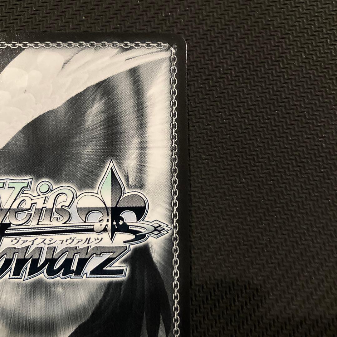 最安値 ヴァイス ブルーアーカイブ 阿慈谷ヒフミ（水着）sp サイン