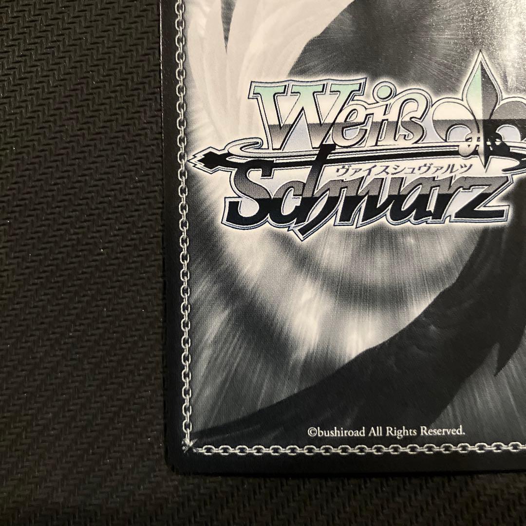 最安値 ヴァイス ブルーアーカイブ 阿慈谷ヒフミ（水着）sp サイン