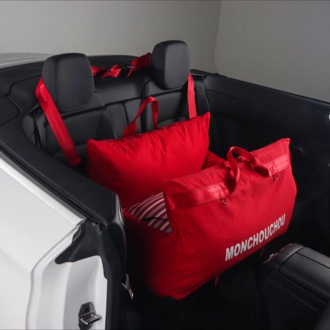 ペットカーシート ペットドライブボックス ペットキャリー犬用カーシートSサイズ赤