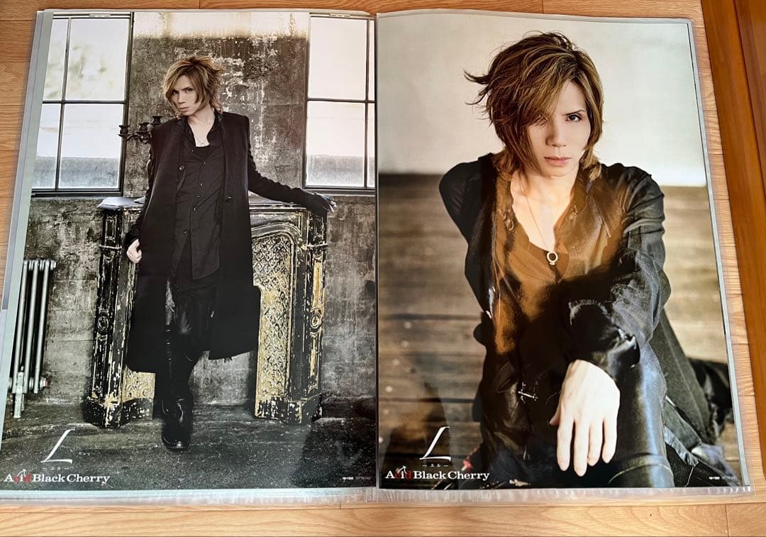 32枚Acid Black Cherry CD予約特典・ツアーポスター　②