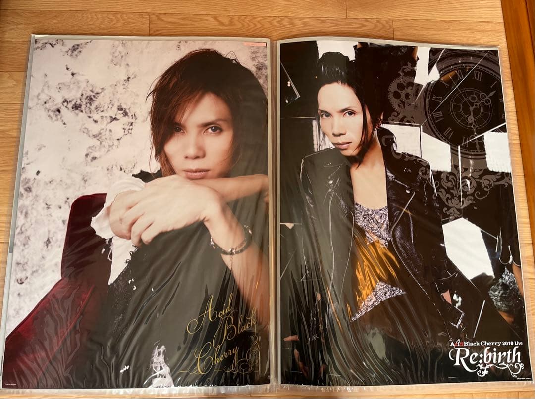 32枚Acid Black Cherry CD予約特典・ツアーポスター　②