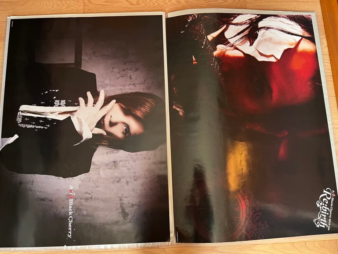 32枚Acid Black Cherry CD予約特典・ツアーポスター　②