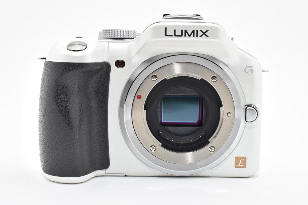 美品・S数1463回 Panasonic LUMIX DMC-G5 ボディ