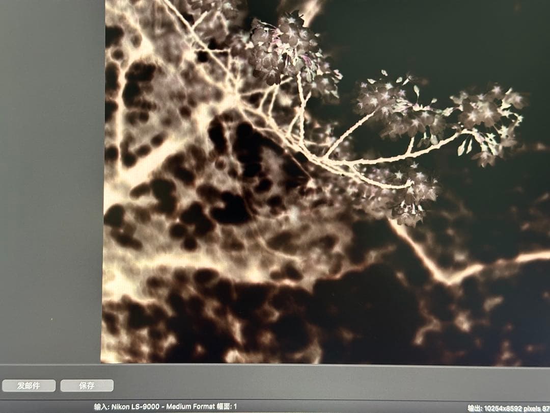 【動作品】Nikoフィルムスキャナー LS-9000ED ニコン