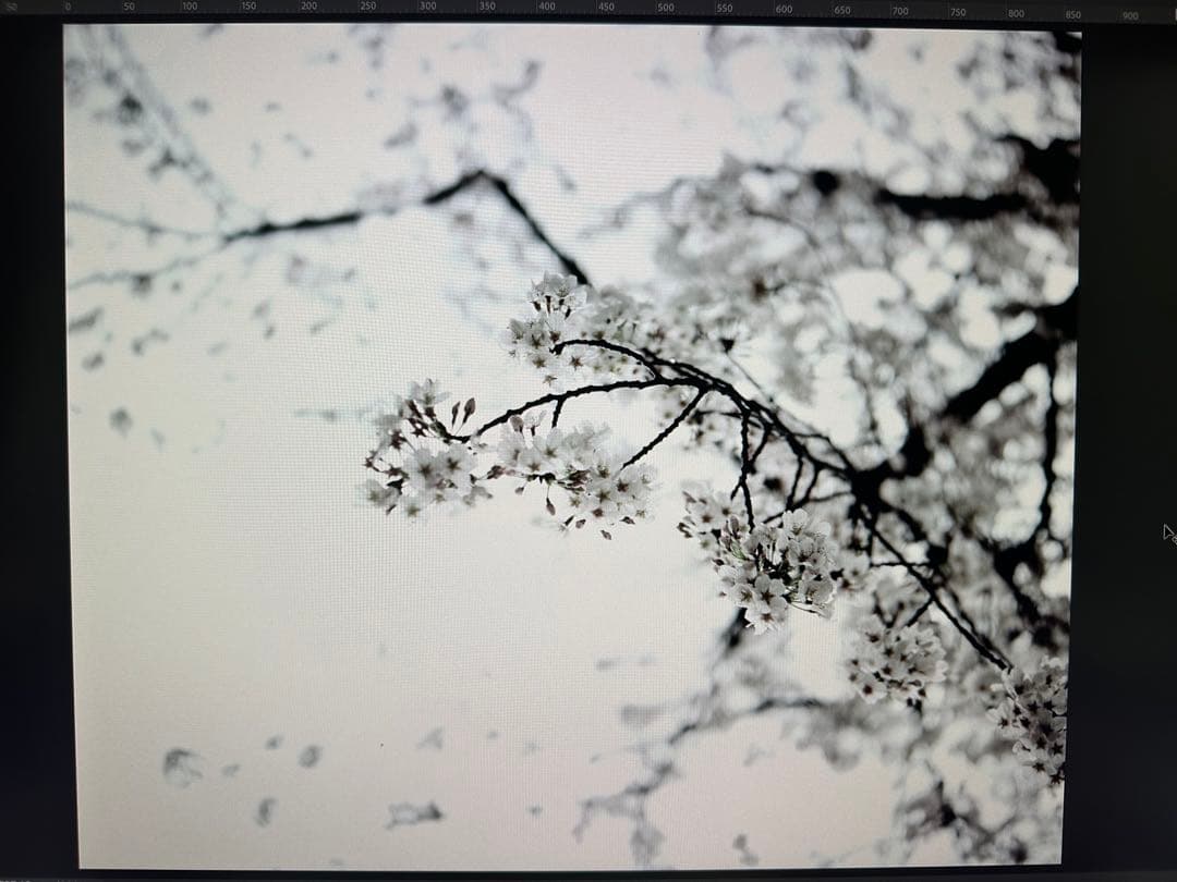 【動作品】Nikoフィルムスキャナー LS-9000ED ニコン