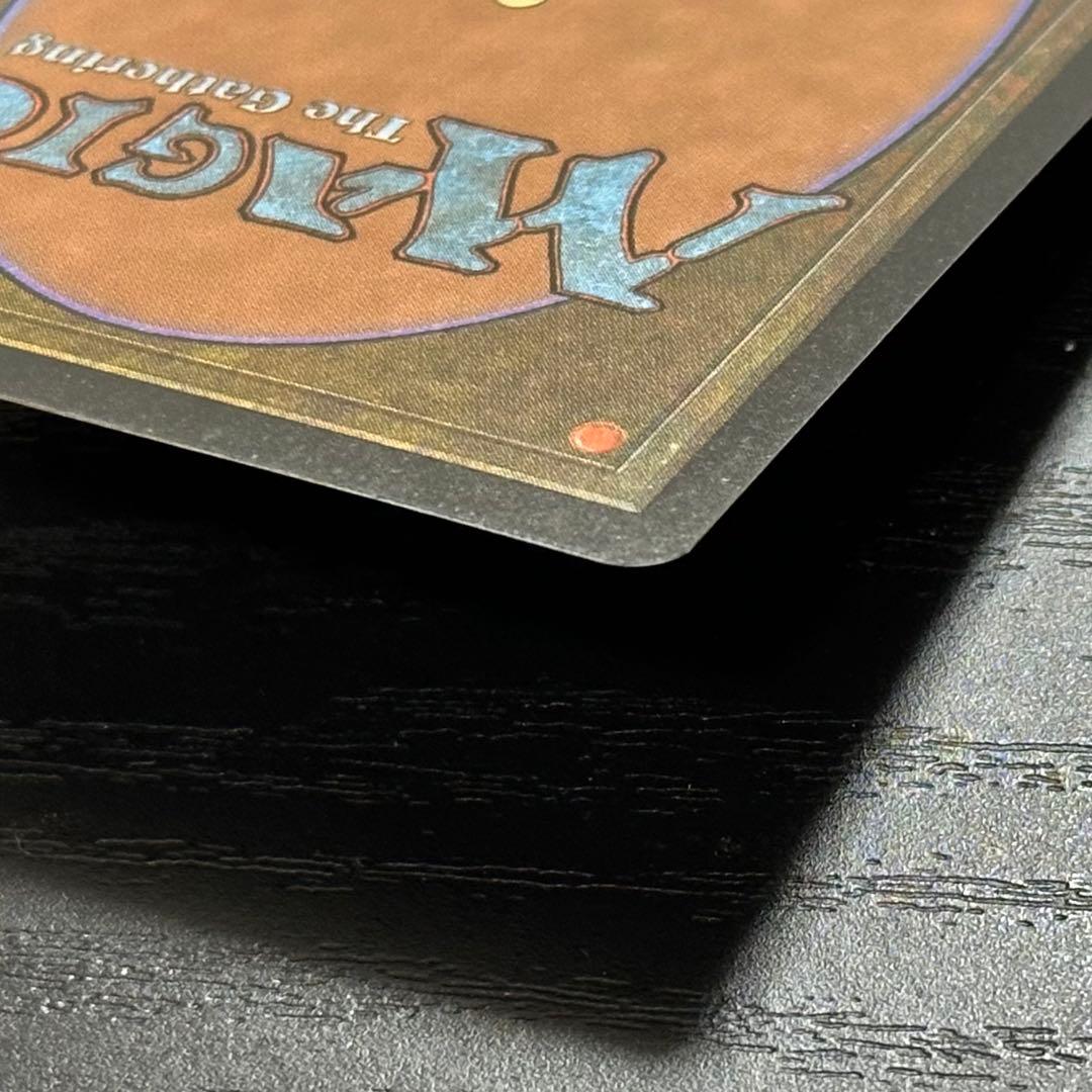 MTG 適者生存 英語