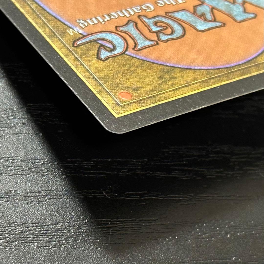 MTG 適者生存 英語