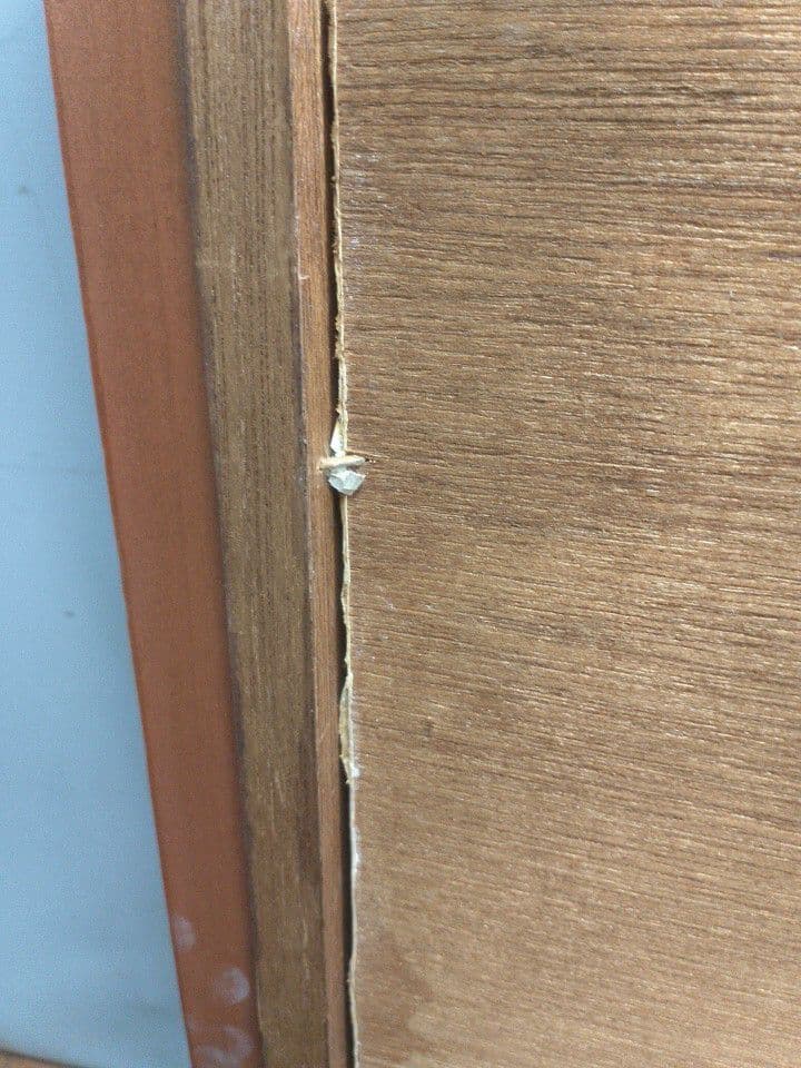 作者不明 相馬武夫? 外寸約98×57cm 人物像