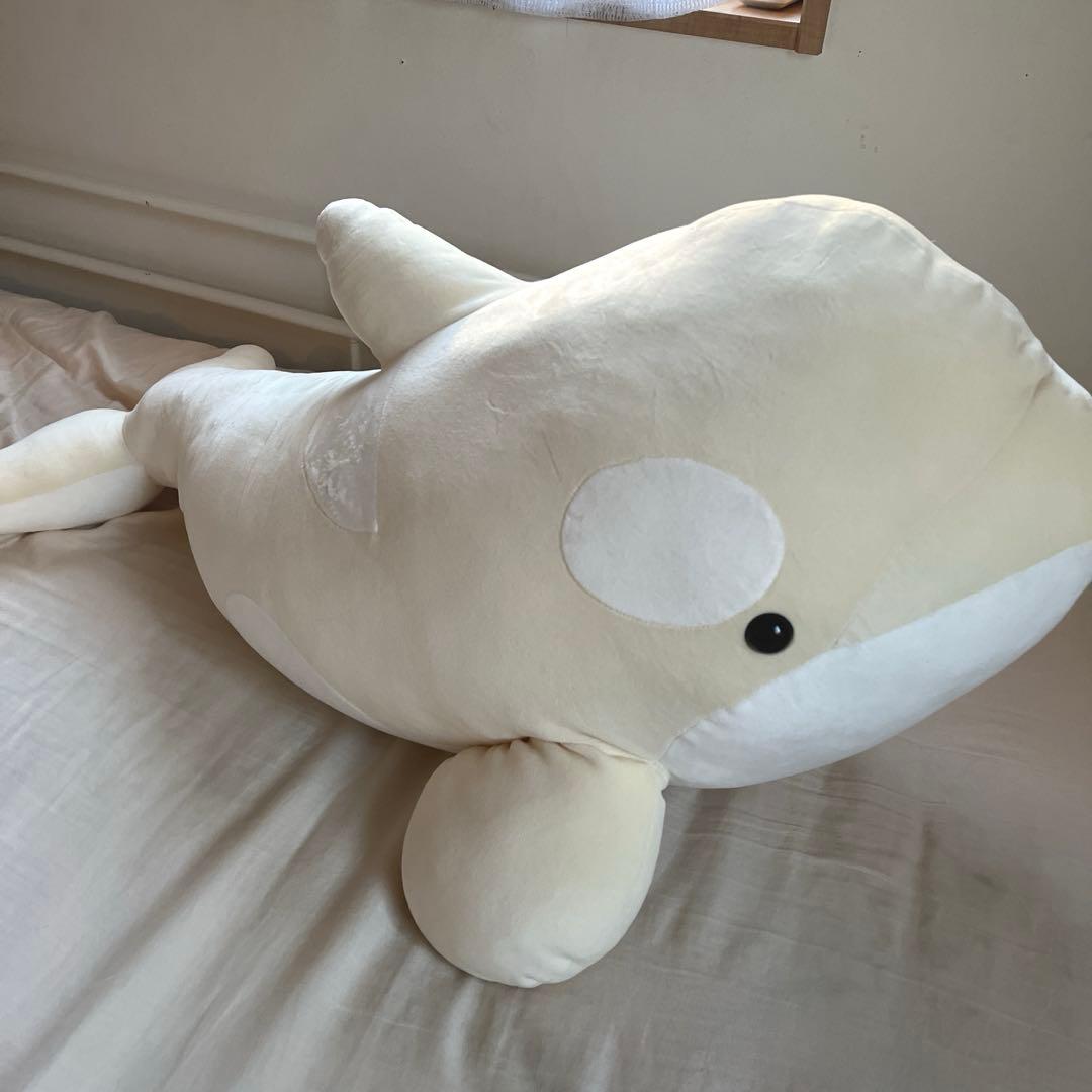 シャチ　ぬいぐるみ　名古屋港水族館　特賞