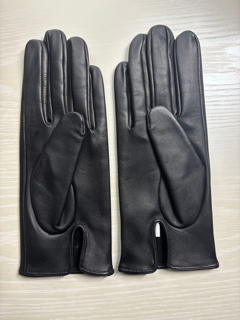 小物 DENTS 15-1100 BLACK 7.5