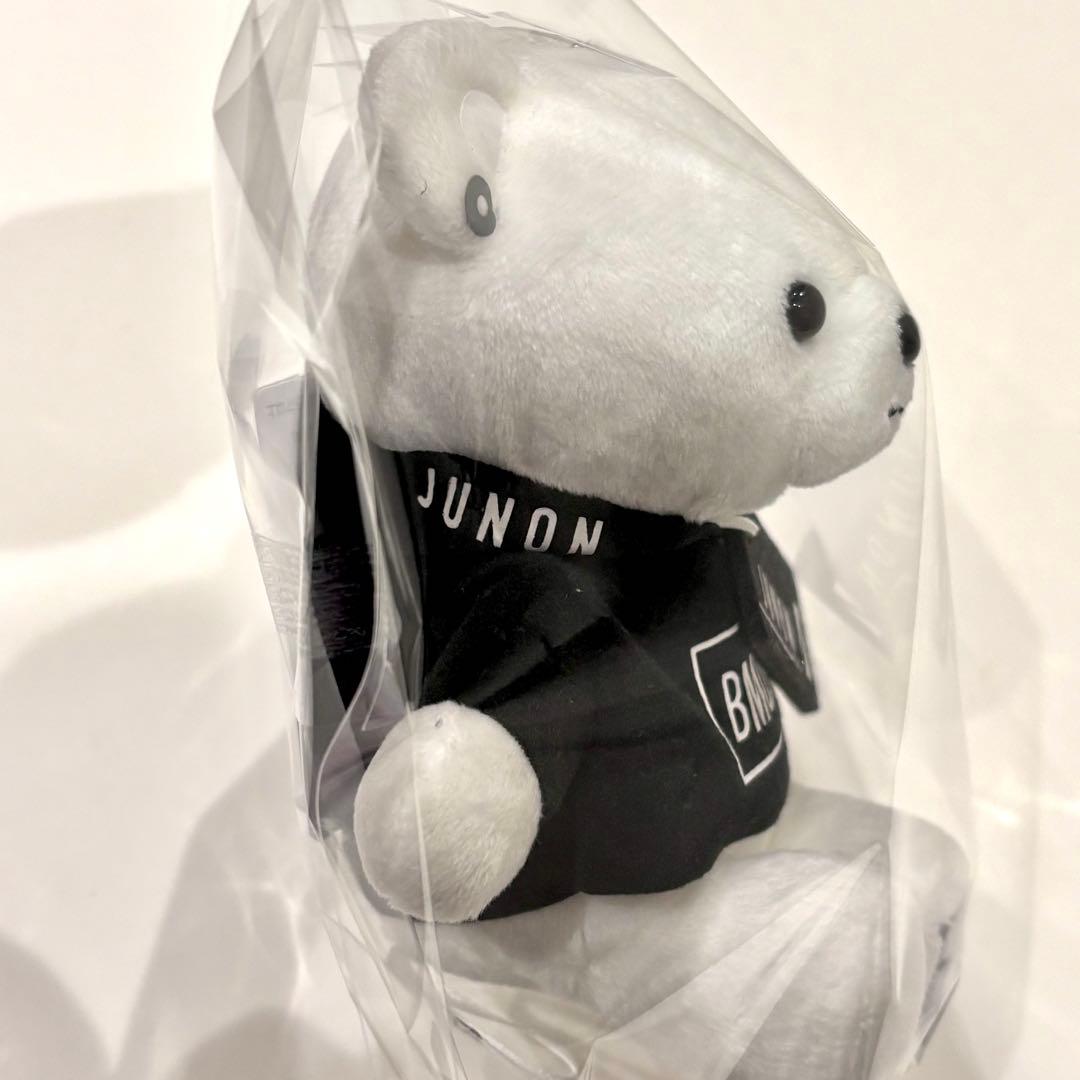 BE:FIRST ໒꒱ モアプラスぬいぐるみ くま BMSG JUNON
