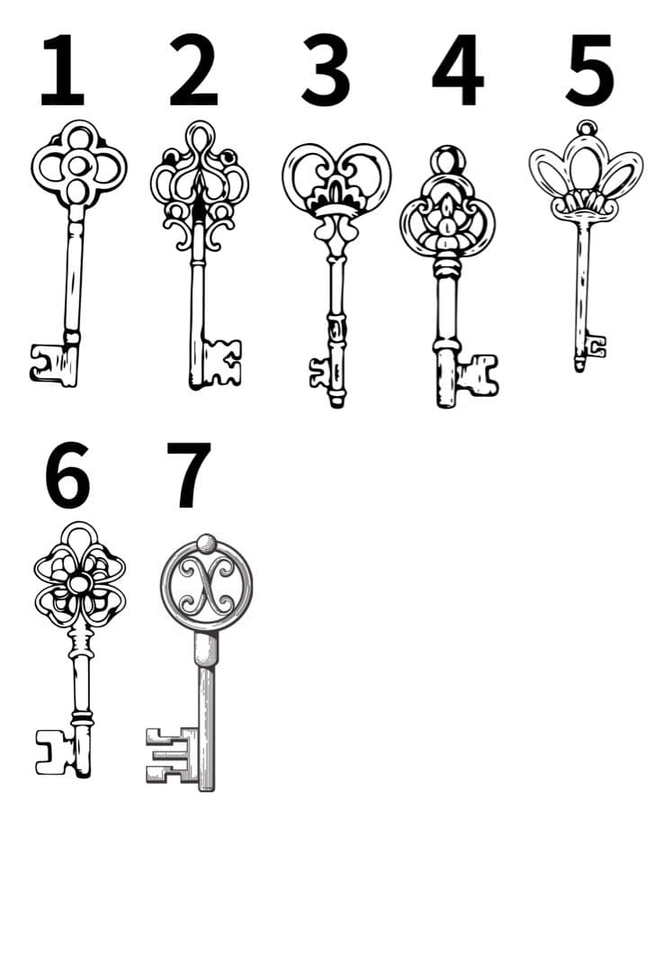 専用　プルームオーラ本革カバー　ブラック