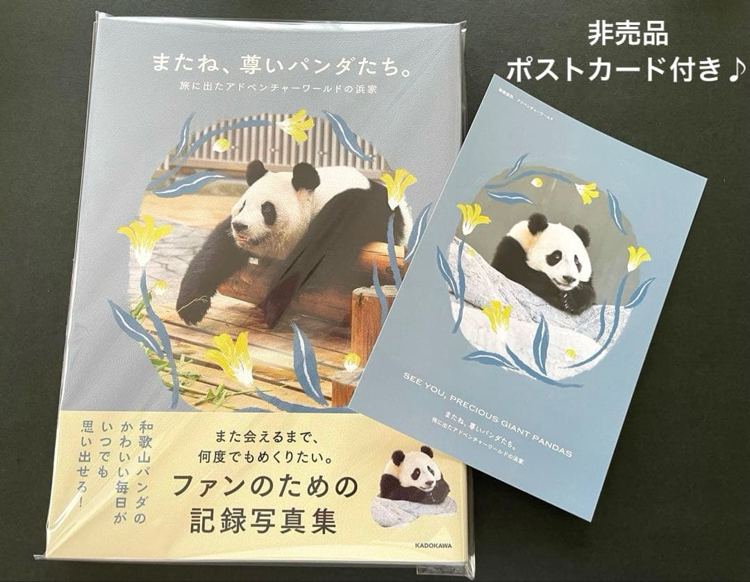 専用　シャンシャン