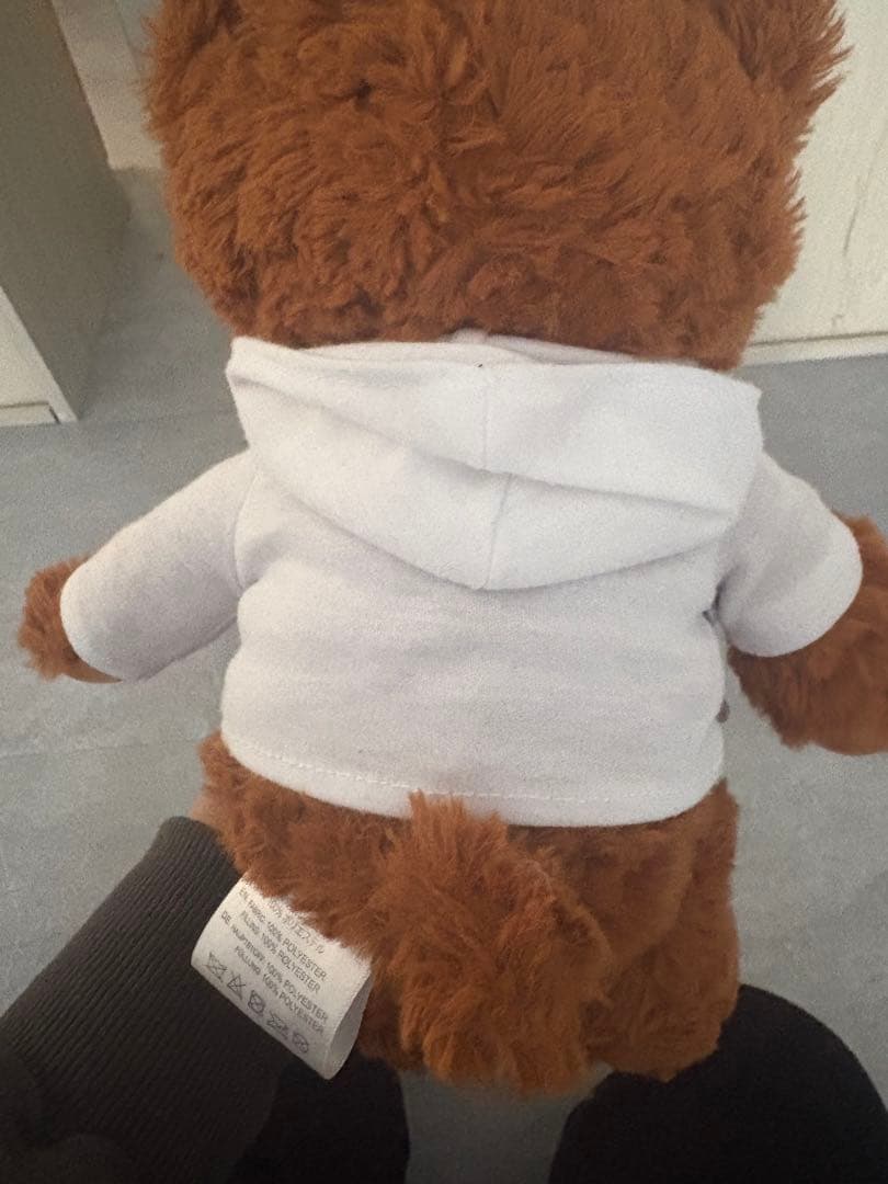 も*え様 EXPO2025 万博 ドイツ館 テディベア