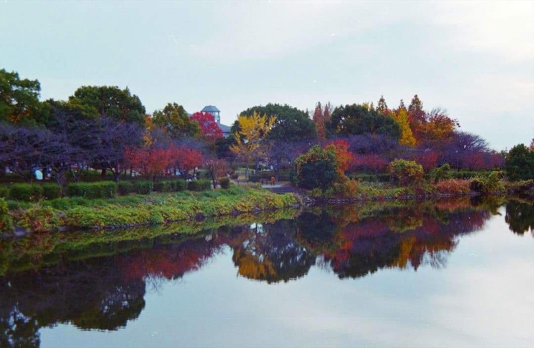 CONTAX 137MA Quartz ボディー