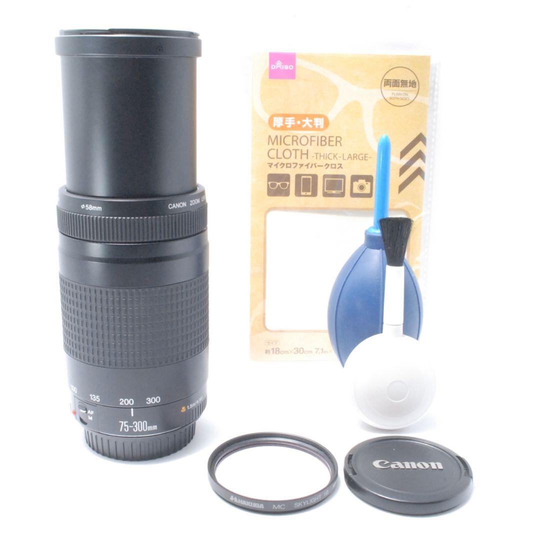 キャノン Canon EF 75-300mm 望遠レンズ 距離を超えて想いを掴む