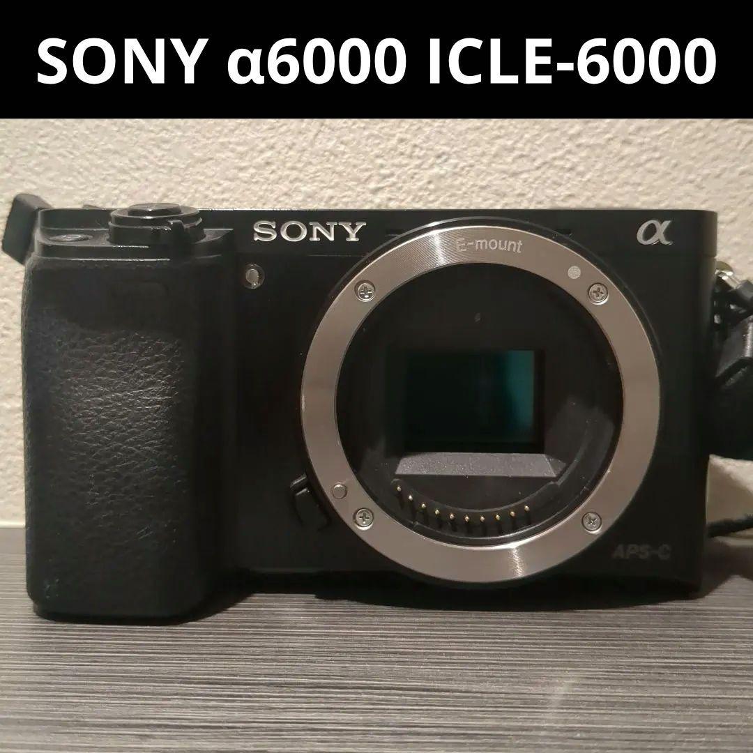 SONY α6000 ILCE-6000 美品 本体のみ バッテリー付属