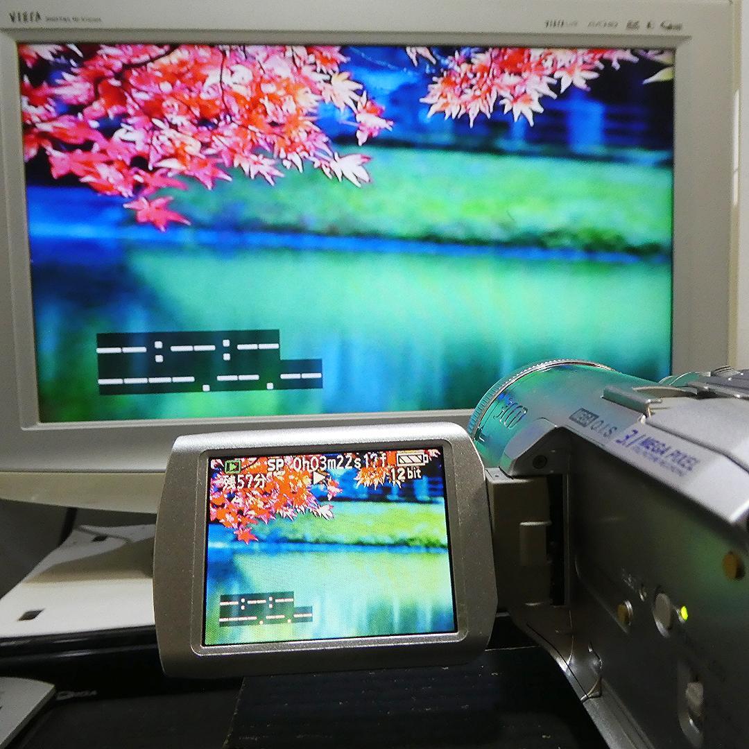 動作良好 パナソニックNV-GS250 MiniDVビデオ　DVD化に最適