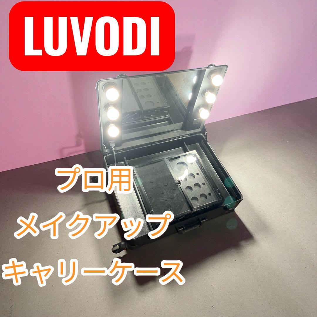 ハリウッドミラーメイクボックス プロ使用　大容量 キャリーケース　LUVODI