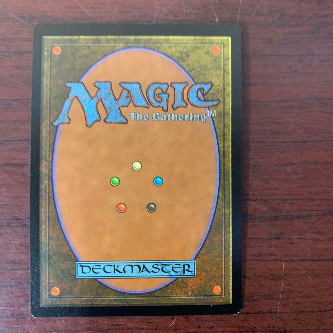 セラの聖域　日本語　マジックザギャザリング