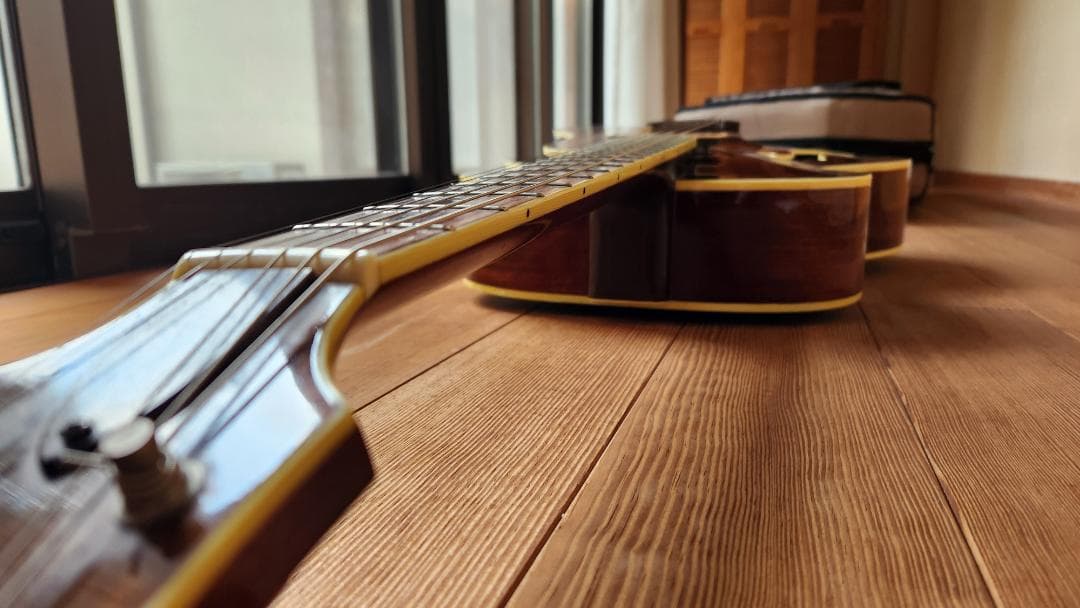 EASTMAN（イーストマン）AR-605E　中古