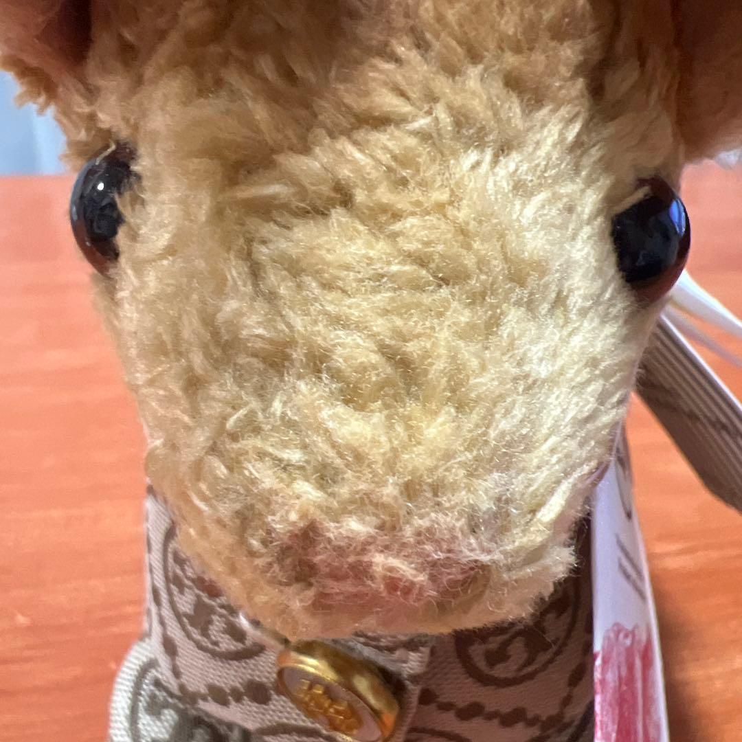 Steiff ✖️ トリーバーチ うさぎぬいぐるみ