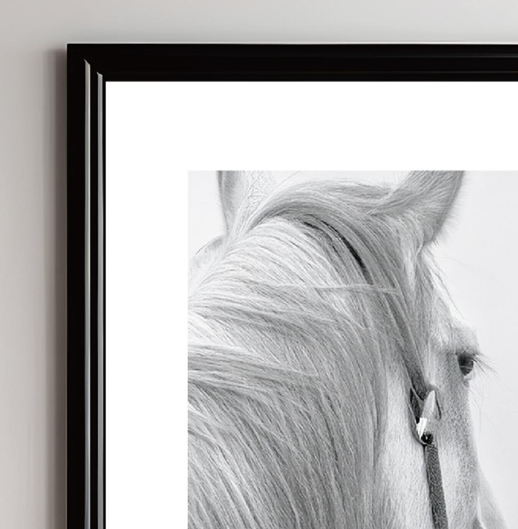 白馬／完全オリジナル・絵画のようなアートポスター　400×500