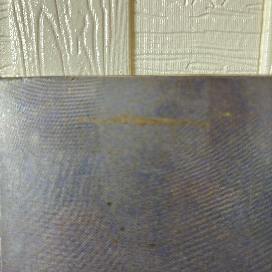 アイルトン.セナ ビッグパネル1960-1994