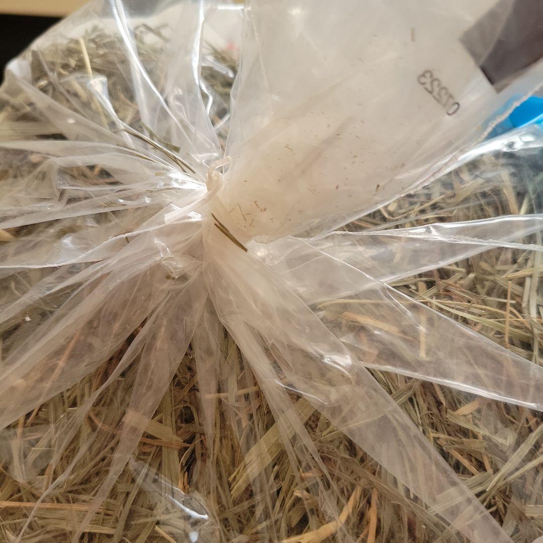 アメリカンペットダイナー　チモシーゴールド　7個