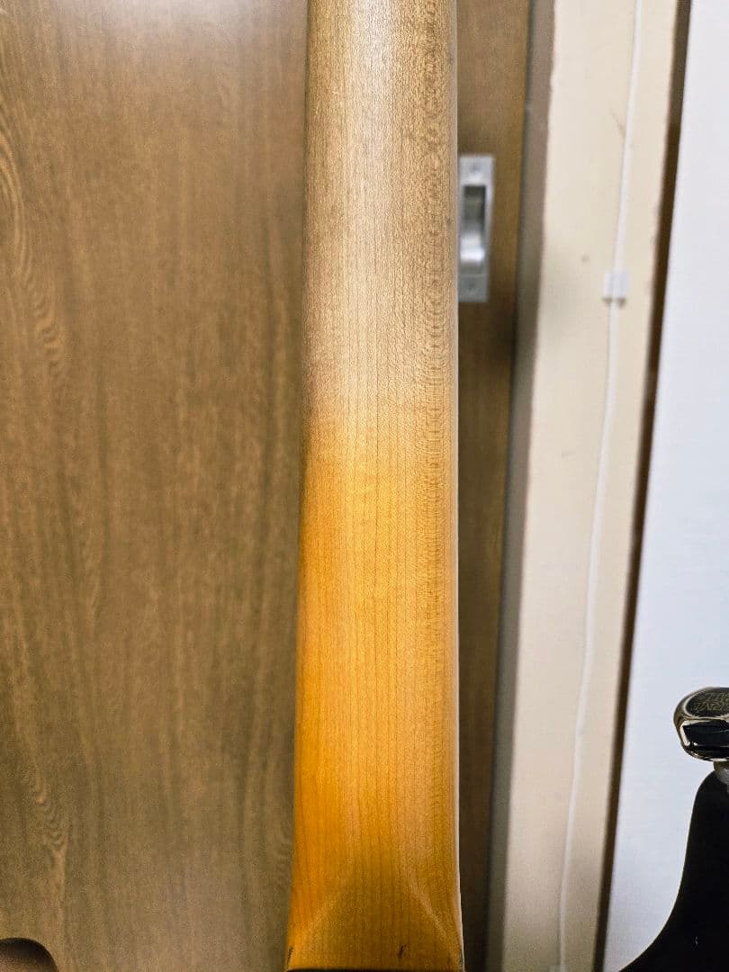 ストラトタイプ　コンポーネントギター ESP