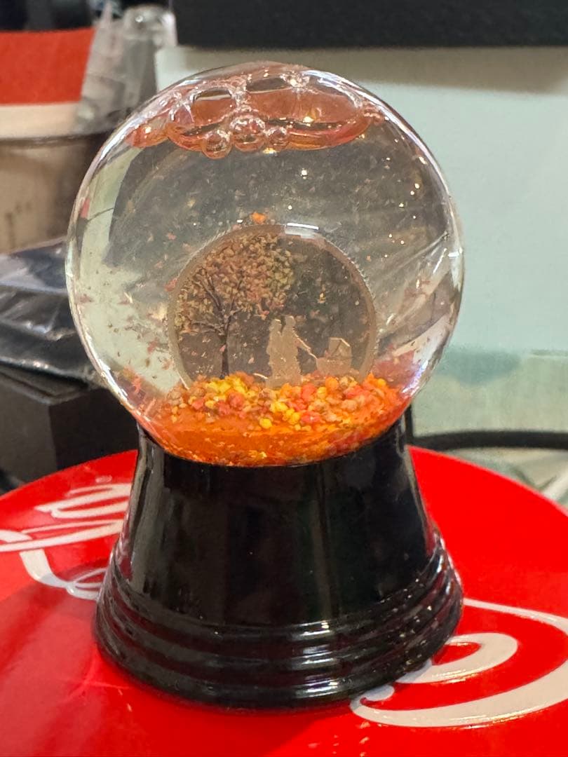 コレクション India Summer Globe Silver Coin